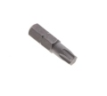 Hrot Torx 30 - DOPRODEJ