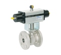 Kohout VL851+pneupohon SR DN20