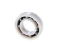Ložisko 6006 POM plastic / stainless steel balls
