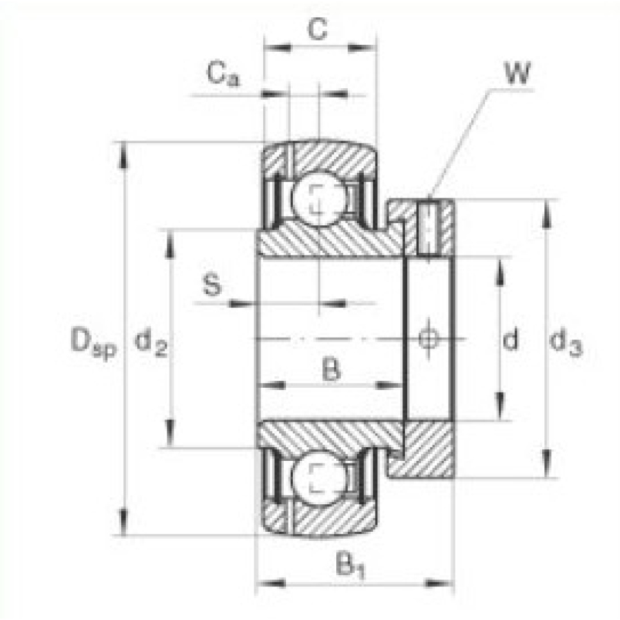 Ložisko GRAE30-NPP-B INA