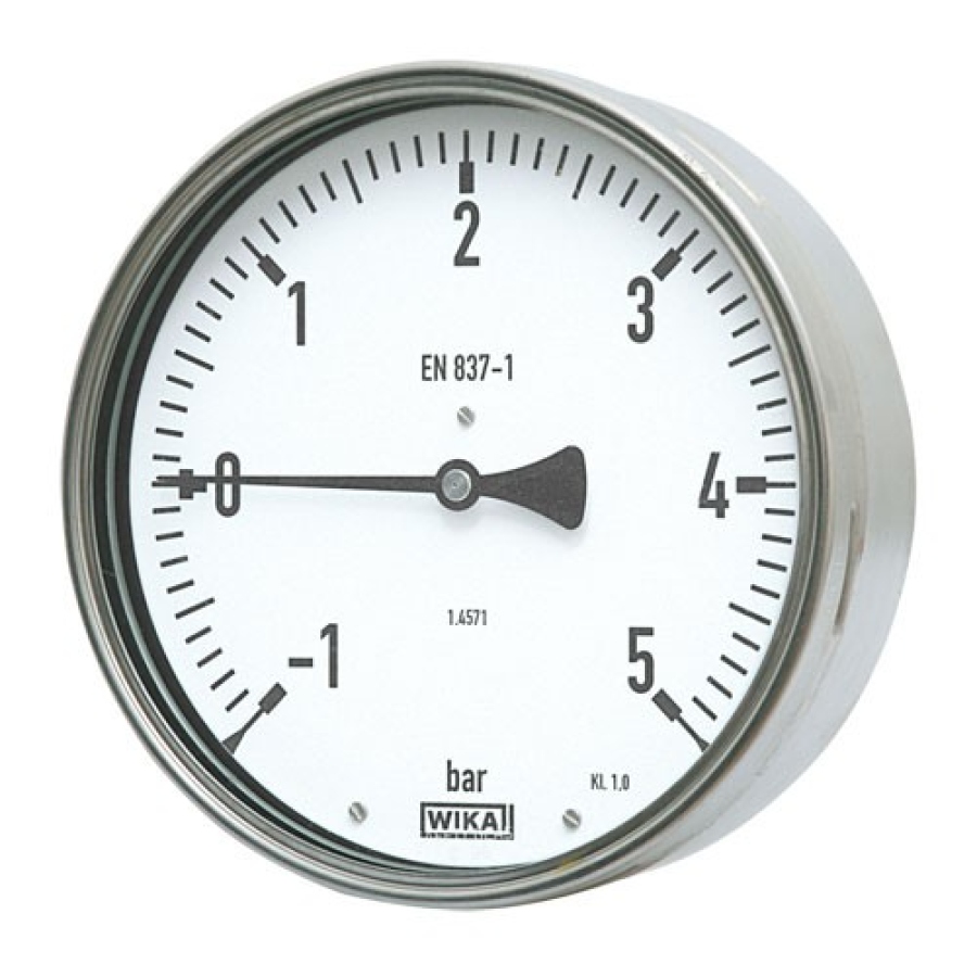 Manometr 212.20 100 mm 1/2