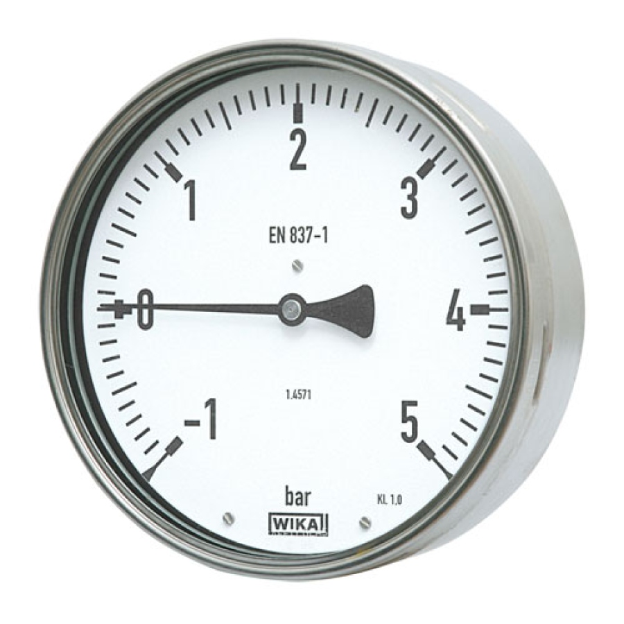 Manometr 212.20 100 mm 1/2