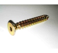 Vrut univerzální 10x80 ZŽ ZH TORX - DOPRODEJ